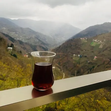 Chalet Mountain House-uzunlu