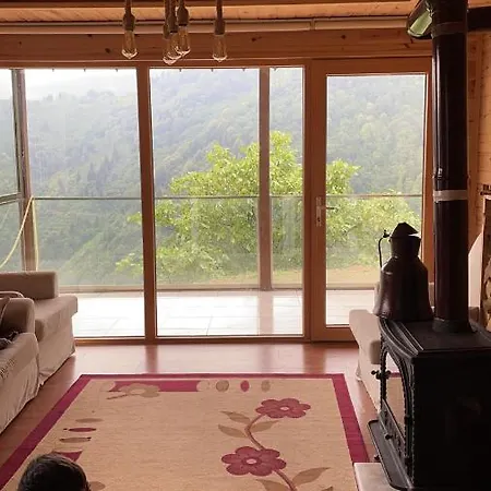 Mountain House-uzunlu Chalet *