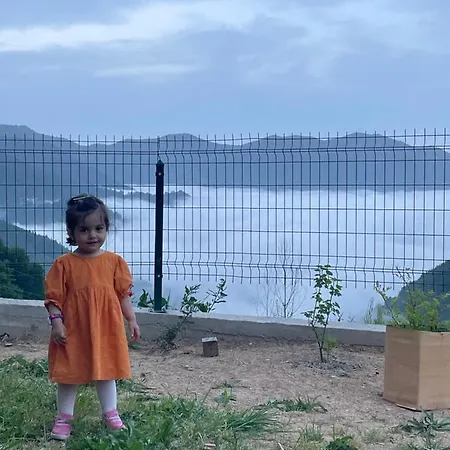 Mountain House-uzunlu Chalet