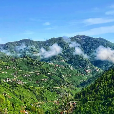 Mountain House-uzunlu Chalet Trabzon