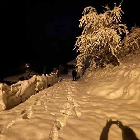 Mountain House-uzunlu * Trabzon