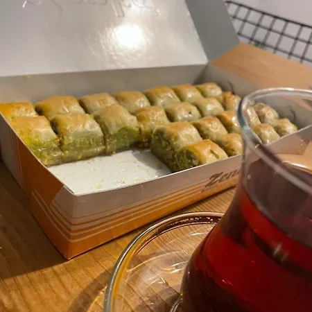 Mountain House-uzunlu