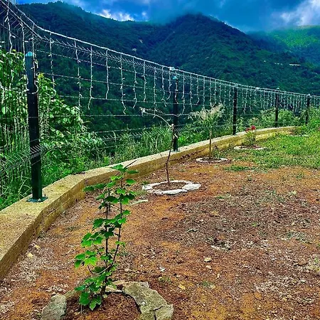 Mountain House-uzunlu Chalet Trabzon