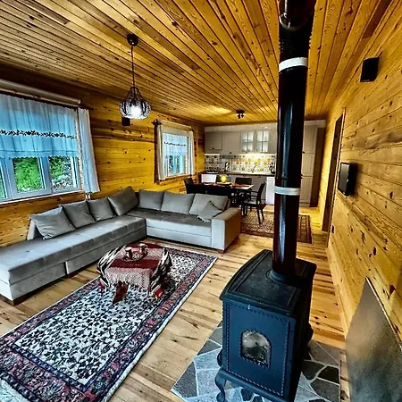 Mountain House-uzunlu Chalet *