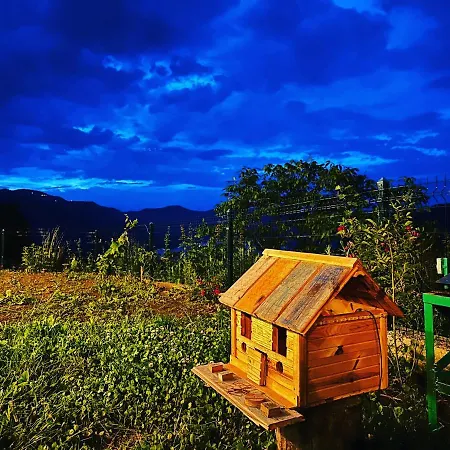 Mountain House-uzunlu Chalet *