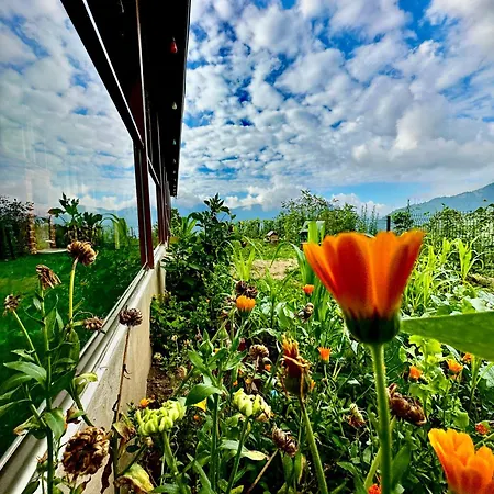 Mountain House-uzunlu Chalet Trabzon