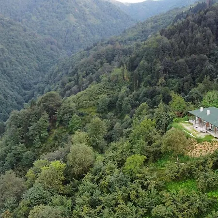 شاليه Mountain House-uzunlu ترابزون