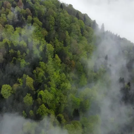 Dağ evi Mountain House-uzunlu